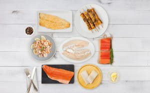 The Tackle Box's hero image